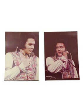 Elvis Presley 3.5 x 5 Totem Pole Gypsy Concert Photos 1977 Axel Studio Lot